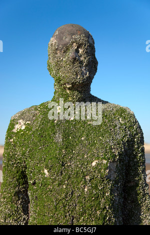 Sir Antony Gormley artwork Another Place is located on Crosby Beach which forms part of the Sefton Coast, within the Liverpool City Region of the UK. Stock Photo