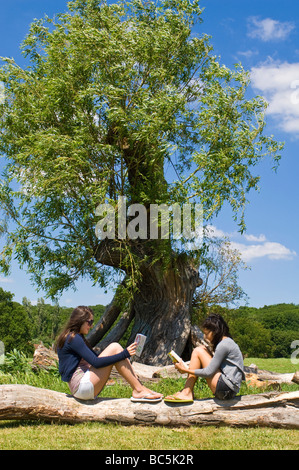 Vertical portrait of two attractive young teenage girls sitting together on a log reading books underneath a tree in the sun Stock Photo