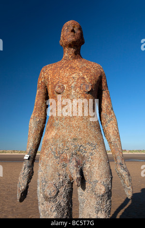 Sir Antony Gormley artwork Another Place is located on Crosby Beach which forms part of the Sefton Coast, within the Liverpool City Region of the UK. Stock Photo