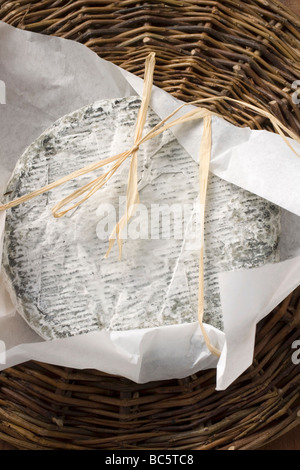 Blue cheese (Bresse Bleu, France) - Stock Photo