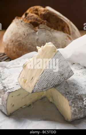 Blue cheese (Bresse Bleu, France) and bread - Stock Photo