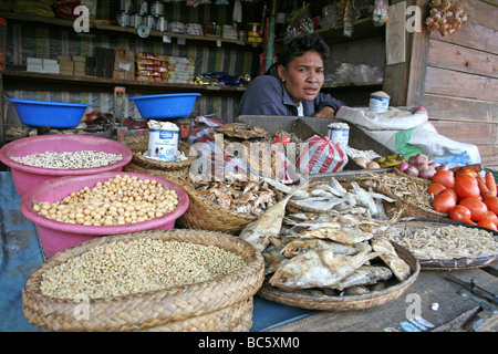 Madagascan Woman On Her Village Store In Andasibe, Toamasina Province, Madagascar Stock Photo