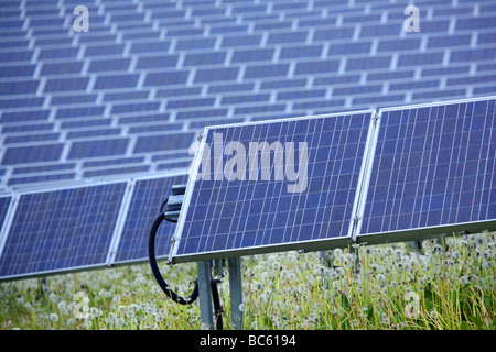 Solar panels in field Stock Photo