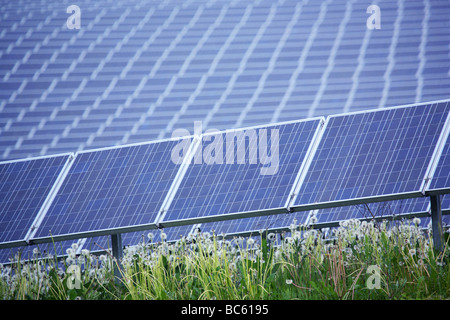 Solar panels in field Stock Photo