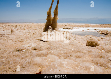 IMG 9412 ,salt sculpture Stock Photo