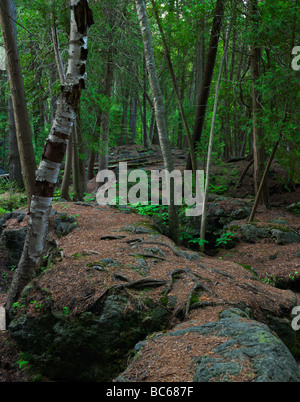 Guelph Ontario nature scenery Stock Photo