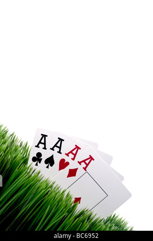 a tilted image of four ace playing cards in grass with a white background Stock Photo
