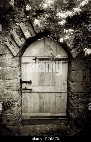 Sepia shot of traditional oak doorway in garden wall with stone surrounds and arch overhung with plants and ivy Stock Photo