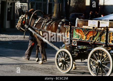Edirne Turkey Horse And Cart Stock Photo