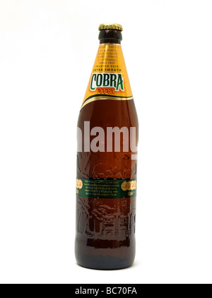 Indian Beer Cobra Stock Photo