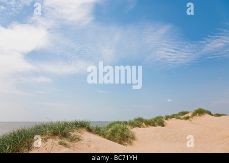 Sand dunes and blue sky. Crosby Beach, Liverpool, Merseyside, United Kingdom. Stock Photo