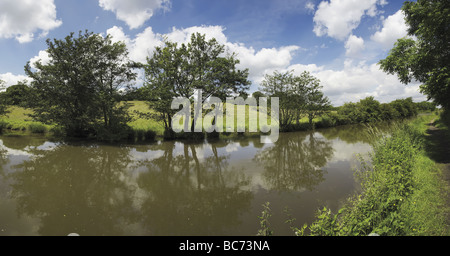 The banks of a river with bushes and trees The worcester and birmingham canl near alvechurch worcestershire uk Stock Photo