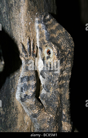 Wooden Sculpture Of A Komodo Dragon Taken At Chester Zoo, England, UK Stock Photo