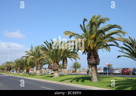 Street in Jandia Playa, Fuerteventura, Canary Islands, Spain Stock Photo