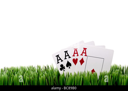 a horizontal image of four ace playing cards in grass with a white background Stock Photo