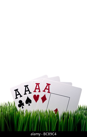 a vertical image of four ace playing cards in grass with a white background Stock Photo