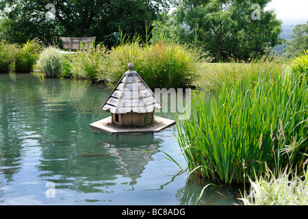 Floating duck house on the lake of a landscaped English Garden in Stoberry Park, Somerset, UK Stock Photo