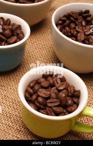 coffee bean is the seed of the coffee plant (the pit inside the red or purple fruit). Stock Photo