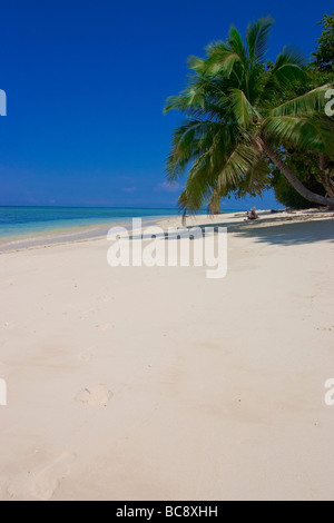 Footprints on a deserted white sandy beach lined with palmtrees on Pulau Sipadan. Stock Photo