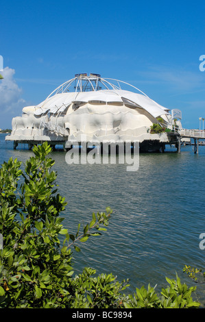 Discotheque Basic Fun famous meeting Point at Cancun Caribe Quintana ...