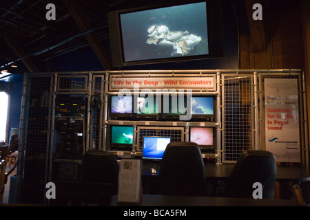 deep water ocean educational display at Seattle Aquarium Stock Photo