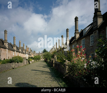 WWells Vicars' Close avenue of late medieval houses for the Cathedral clergy view from south with hollyhocks. Stock Photo