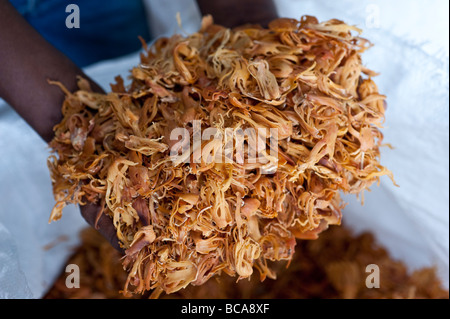 Close up of a handful of blades of dried mace, the aril (lacy covering) of nutmeg seed shell Stock Photo