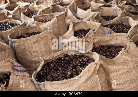 Bags of nutmegs in their shells at the Gouyave Nutmeg Priocessing Plant Stock Photo