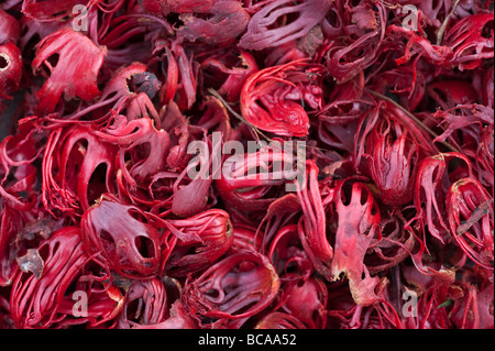 Close up of blades of dried mace, the aril (lacy covering) of nutmeg seed shell Stock Photo