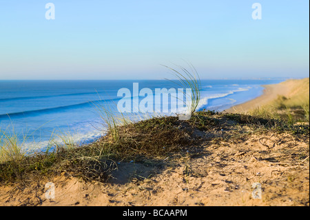 Coastal view with windy weeds in the foreground Stock Photo