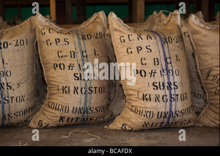 Bags of nutmegs in their shells at the Gouyave Nutmeg Priocessing Plant packed up and ready to be dispatched Stock Photo