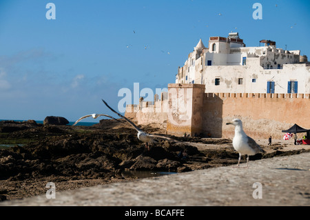 essaouira morocco ramparts old city fort wall protection travel fortress coast coastal whitewashed blue shutters architecture ge Stock Photo