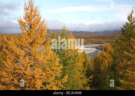 Polar Urals, Tyumen region, North of  West Siberia, Russia. Stock Photo