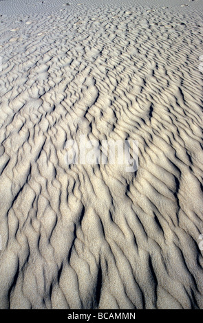 Wind blown ripples form complex patterns on the white sand of a dune. Stock Photo