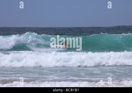 Surfing waves on bodyboard Porthmeor beach in summer sun St Ives Cornwall England UK United Kingdom GB Great Britain