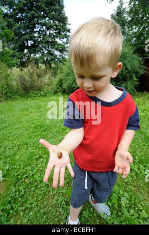 Child kid blond boy hand holding Helix pomatia Snail Europe garden Stock Photo