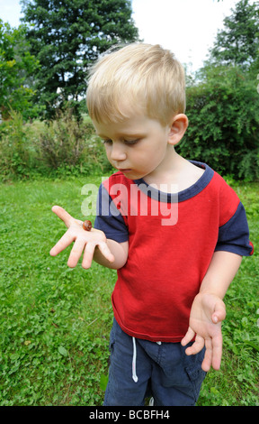 Child kid blond boy hand holding Helix pomatia Snail Europe garden Stock Photo