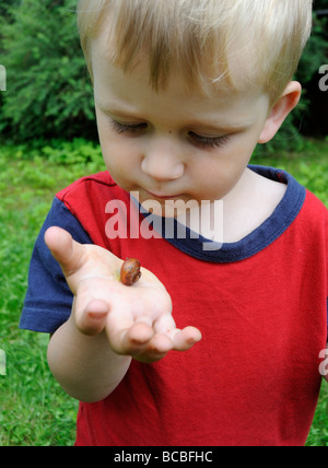 Child kid blond boy hand holding Helix pomatia Snail Europe garden Stock Photo