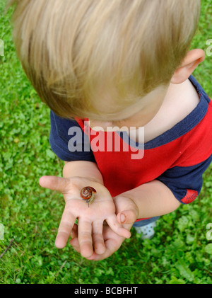 Child kid blond boy hand holding Helix pomatia Snail Europe garden Stock Photo