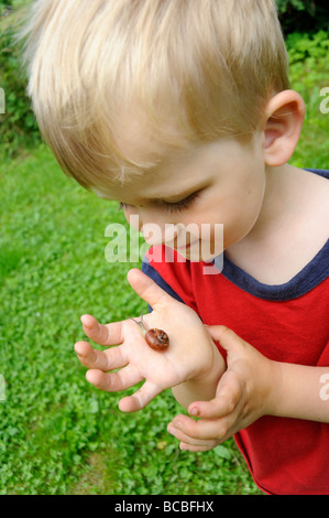 Child kid blond boy hand holding Helix pomatia Snail Europe garden Stock Photo