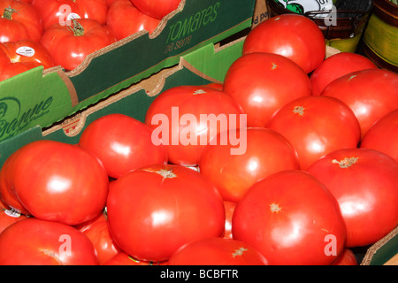 Tomatoes displayed in a grocery store produce section