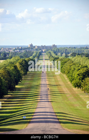 The Long Walk, Windsor Great Park,  Windsor, Berkshire, England, United Kingdom Stock Photo