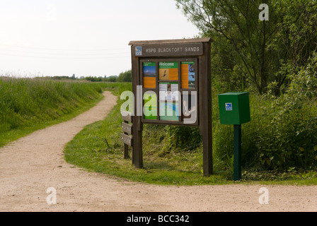 Blacktoft Sands, an RSPB nature reserve, East Riding of Yorkshire ...