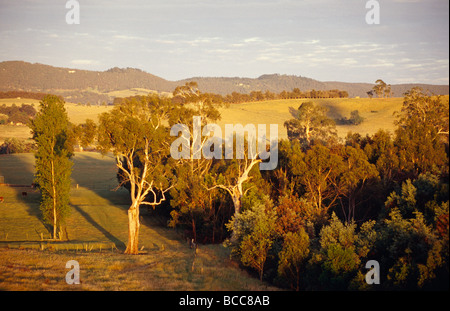 An aerial view of idyllic farmland at dawn surrounded by forest. Stock Photo