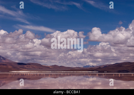 Laguna Colorada (Red Lagoon) within Eduardo Avaroa Andean Fauna National Reserve in Bolivia Stock Photo