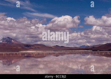 Laguna Colorada (Red Lagoon) within Eduardo Avaroa Andean Fauna National Reserve in Bolivia Stock Photo