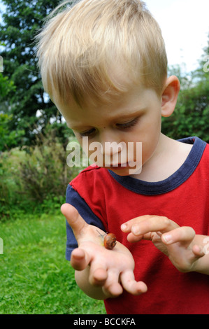 Child kid blond boy hand holding Helix pomatia Snail Europe garden Stock Photo