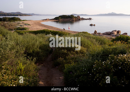 Verdant pathway to a secluded beach north of Tanca Manna, Sardinia Stock Photo