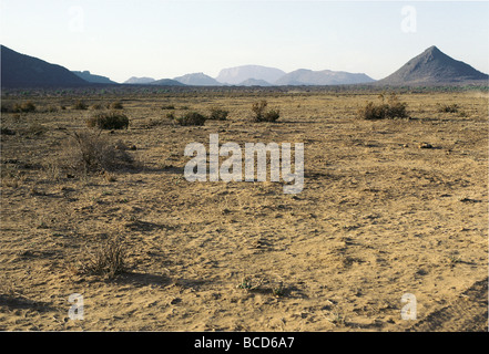 Poor conditions with dried out vegetation eaten down to the ground after ten month drought in Samburu National Reserve Kenya Stock Photo