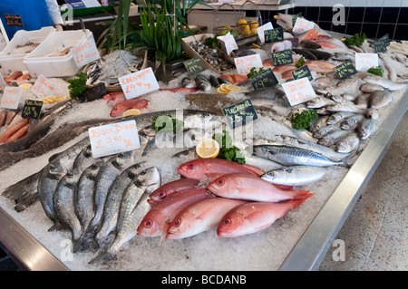 Fresh fish display at local fishmonger London England UK Stock Photo